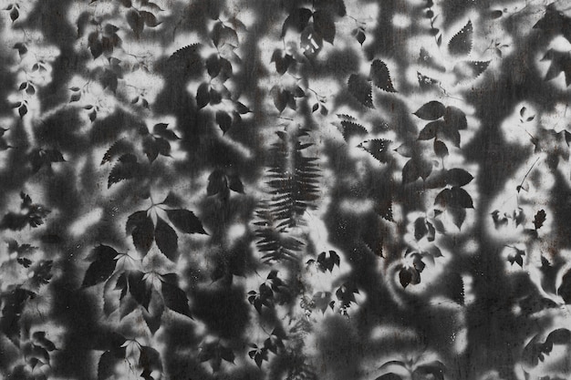 Abstrait noir texturé aux rayons x