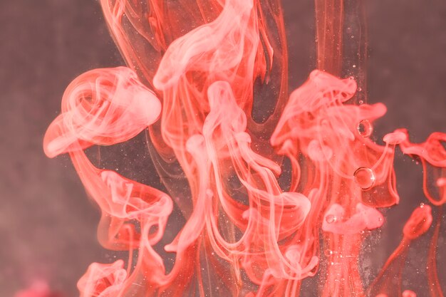 Abstraites jolies méduses à l&#39;huile