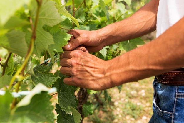 Agriculteur en gros plan travaillant