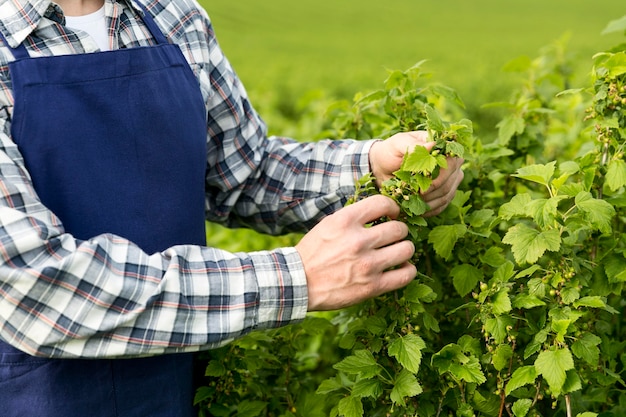 Agriculteur en gros plan travaillant