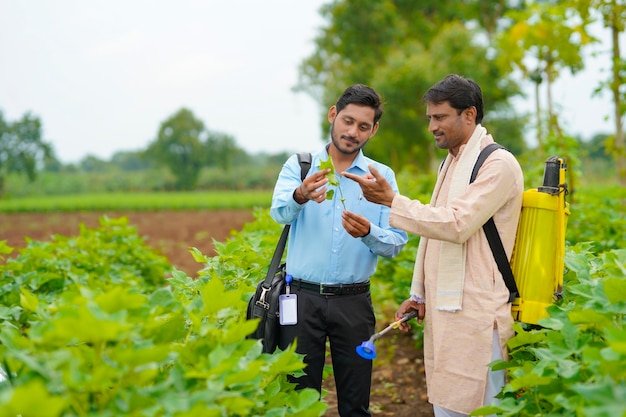 Agriculteur indien discutant avec l'agronome à la ferme et recueillant des informations