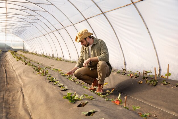 Agriculteur inspectant les cultures végétales dans sa ferme