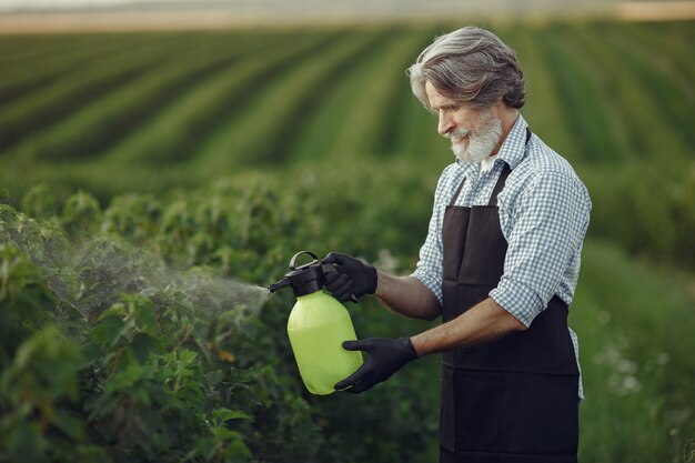 Agriculteur pulvérisant des légumes dans le jardin avec des herbicides. Homme dans un tablier noir.