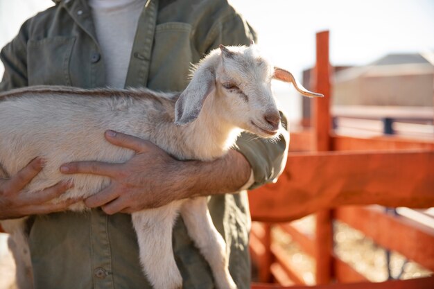 Agriculteur tenant une de ses chèvres à la ferme