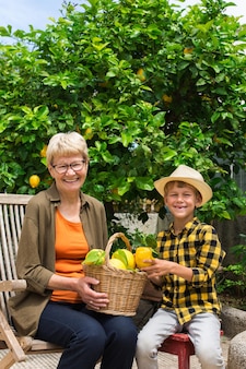 Agricultrice senior, femme, grand-mère avec jeune garçon, petit-fils récoltant des citrons du citronnier dans le jardin privé, verger. saisonnier, été, automne, maison, concept de passe-temps.