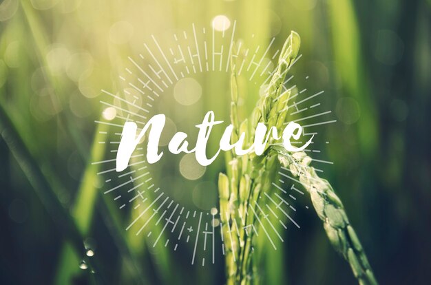 L'agriculture alternative Concept Nature durable