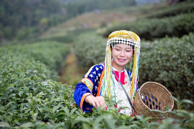 Agriculture des femmes des tribus des collines