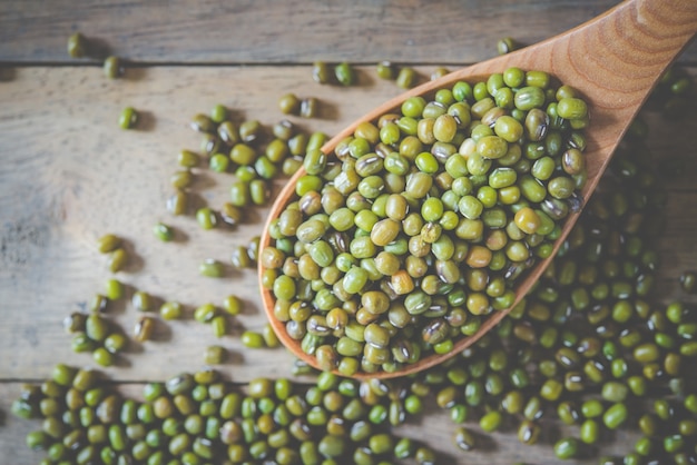 l&#39;agriculture herbivore végétale sèche