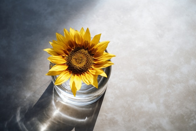 Photo gratuite ai a généré des tournesols