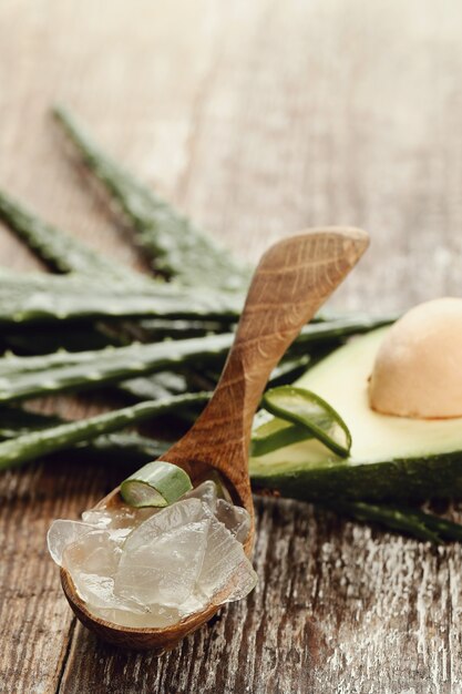 Aloe vera pour le concept de soins de la peau