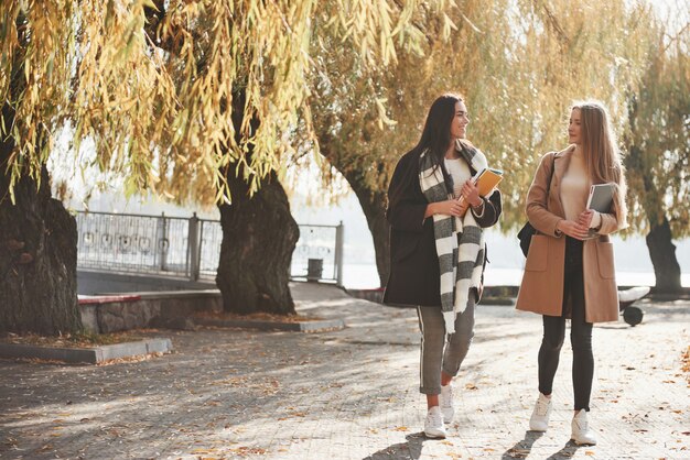 Les amies se promènent dans le magnifique parc d'automne