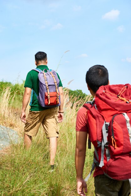 amis faisant de l'aventure de randonnée