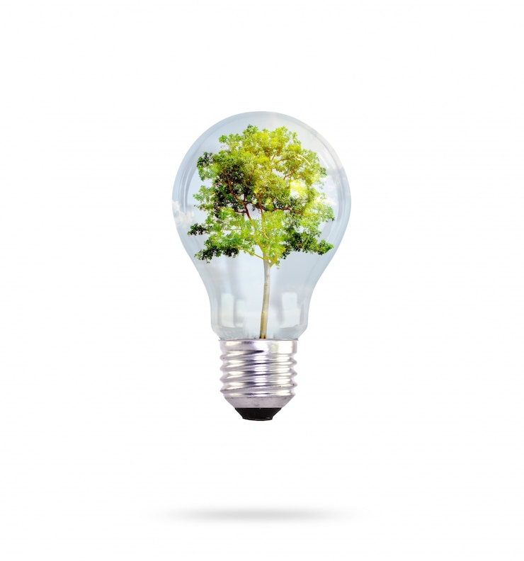 Photo gratuit ampoule avec l&#39;arbre intérieur