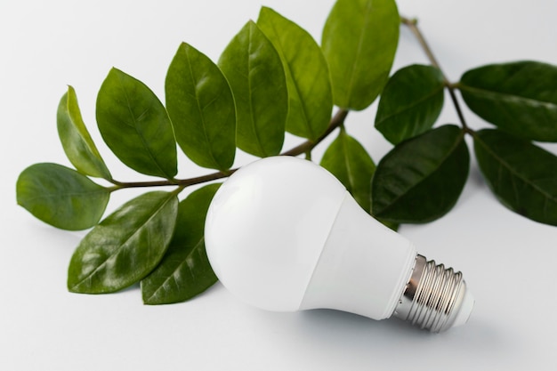 Photo gratuite ampoule à économie d'énergie sur le bureau