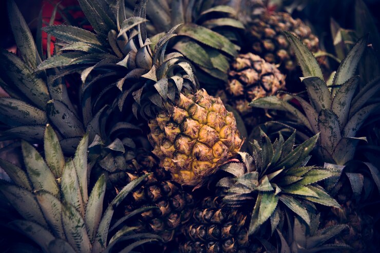 Photo gratuit ananas ananas nutrition juteuse d&#39;agrumes pina