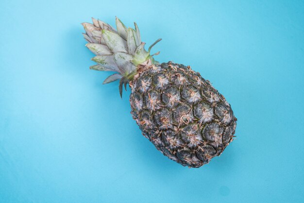 Ananas sur fond bleu