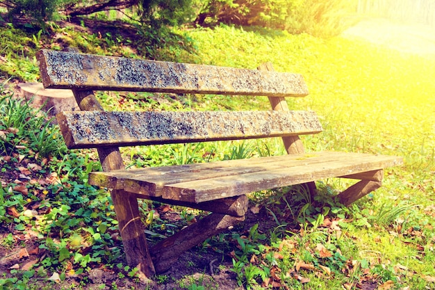 Ancien banc dans le parc à l&#39;été.