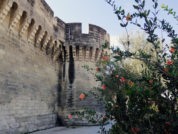 Ancien bâtiment entouré d'arbres et de fleurs sous la lumière du soleil à Avignon en France