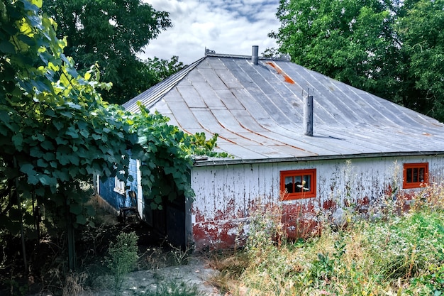 Photo gratuite ancienne maison rurale avec du raisin sauvage couvrant une partie sur la cour