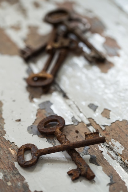 Photo gratuite anciennes clés ornées