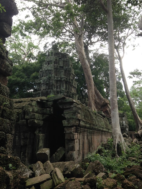 Anckor palaces, Siem Reap, Camboda. Beau paradis.