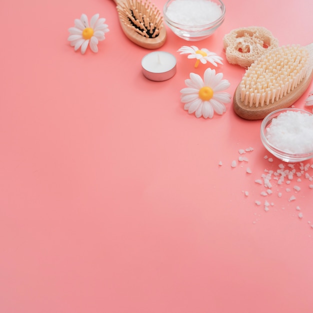 Angle élevé de brosses de spa et de fleurs de camomille