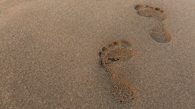 Angle élevé d'empreinte dans le sable à la plage