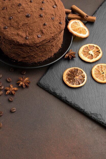 Angle élevé de gâteau au chocolat avec poudre de cacao et agrumes séchés