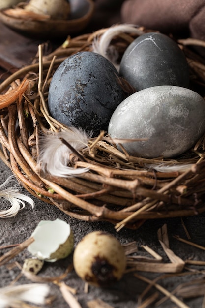 Angle élevé d'oeufs de Pâques dans un nid d'oiseau fait de brindilles