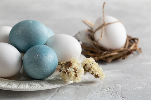 Angle élevé d'oeufs de Pâques dans le nid d'oiseau avec plaque et fleurs