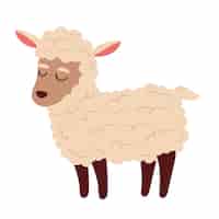 Photo gratuite animal de ferme mouton