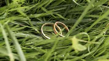 Photo gratuite anneaux de mariage sur l'herbe