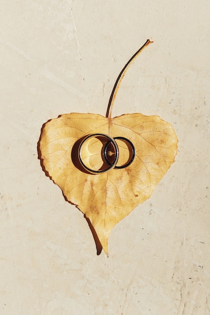 Photo gratuite les anneaux de mariage d'or reposent sur les feuilles tombées