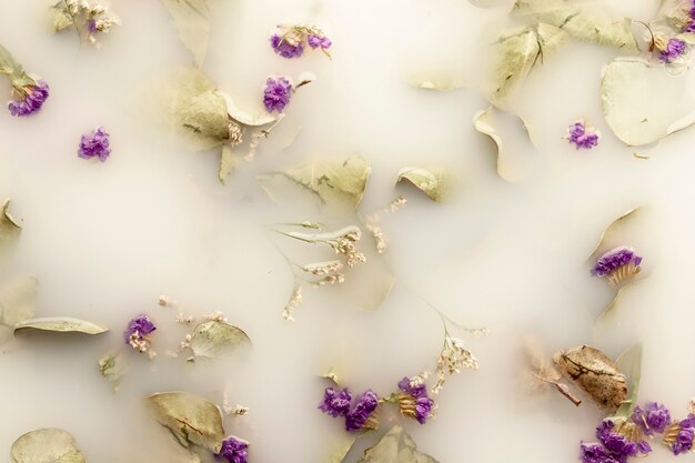 Appartement poser des fleurs violettes dans l'eau blanche