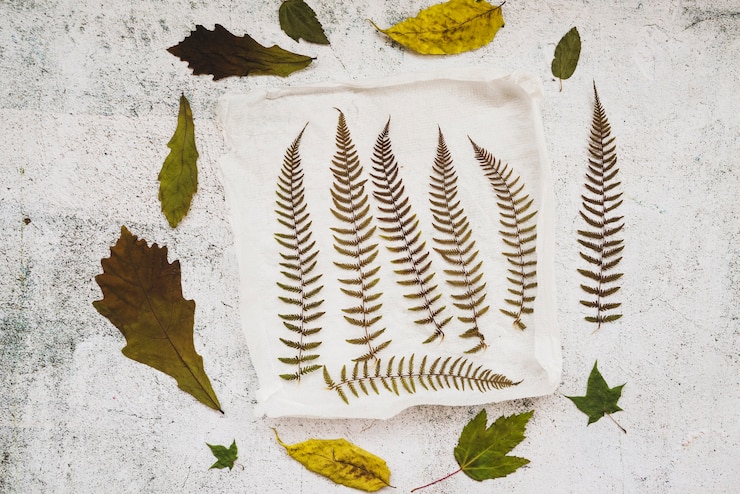 Photo gratuit application avec des feuilles séchées