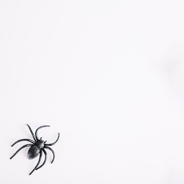 Araignée de jouet allongée sur fond blanc