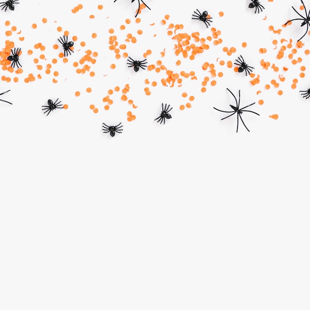 Araignées et confettis à l&#39;orange