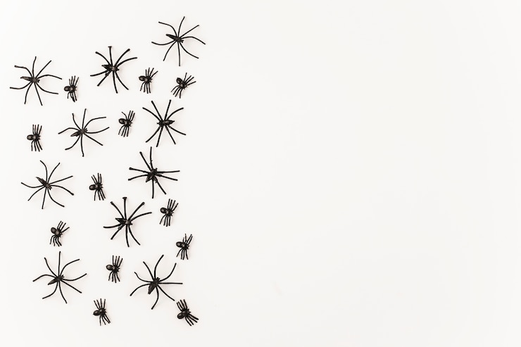 Photo gratuit araignées noires d'halloween