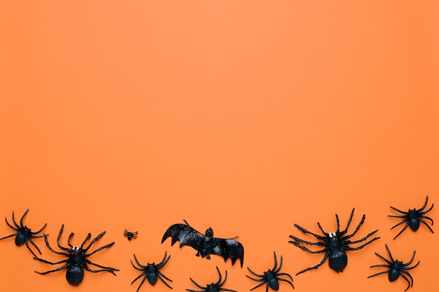 Photo gratuite araignées noires d'halloween