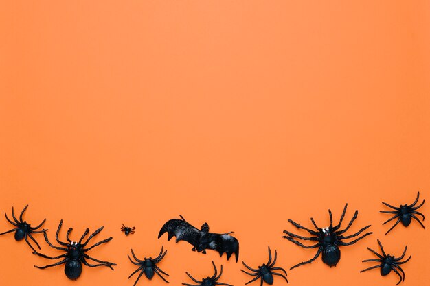 Araignées noires d'Halloween