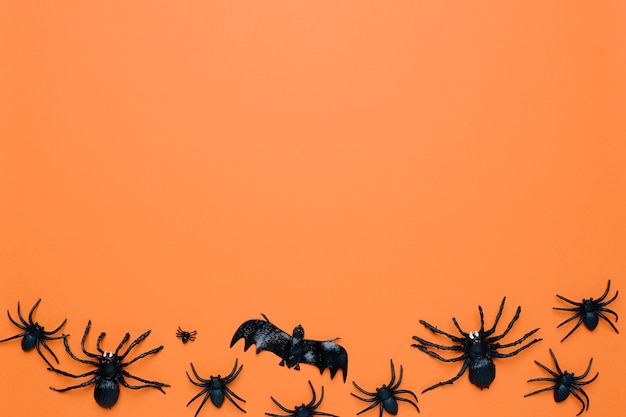 Araignées noires d'Halloween