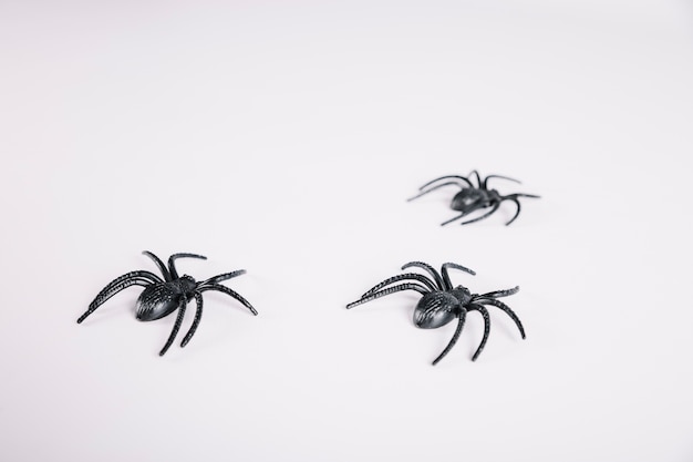 Les araignées s&#39;envolent sur fond blanc
