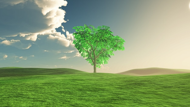 Arbre au milieu d&#39;une prairie