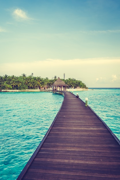 arbre ciel nature paysage maldives