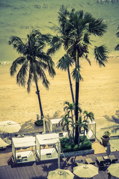 Photo gratuite arbre paml dans une plage avec un filtre