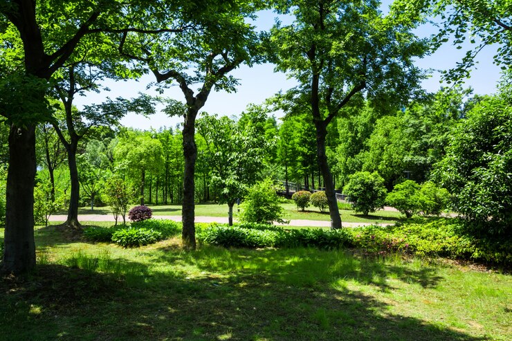 Photo gratuit arbre