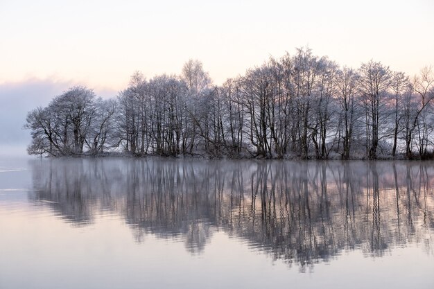 Arbres enneigés près du lac avec des reflets dans l'eau un jour brumeux