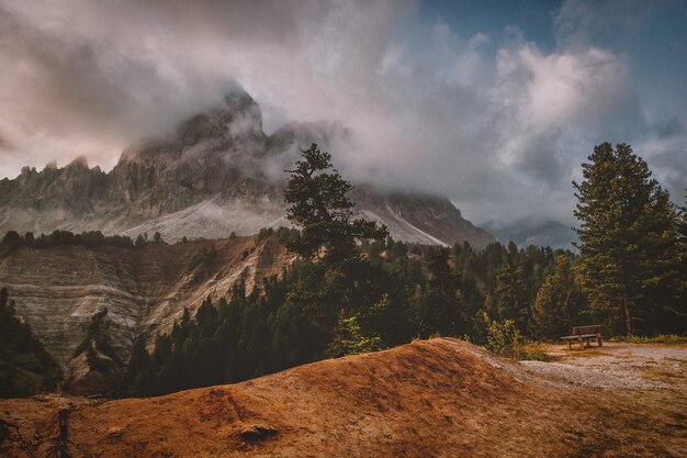 Arbres à feuilles vertes avec vue sur la montagne