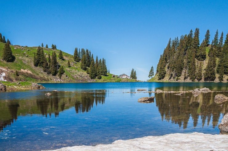 Photo gratuit arbres sur les montagnes entourées par le lac lac lioson en suisse