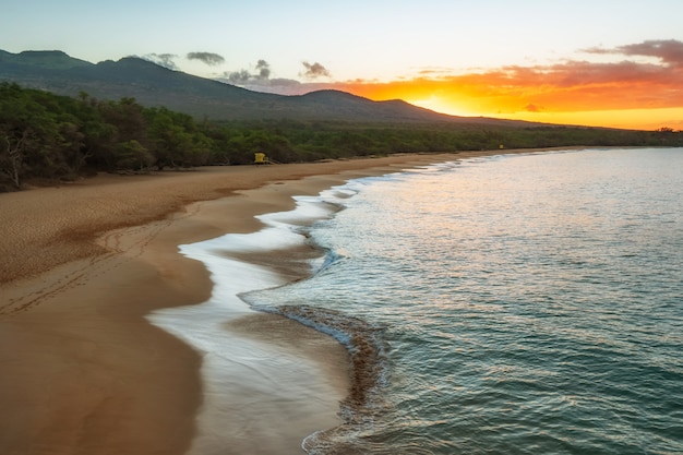 Arbres verts à côté d'un plan d'eau pendant le coucher du soleil